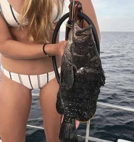 Kelly Young 無料スター 写真