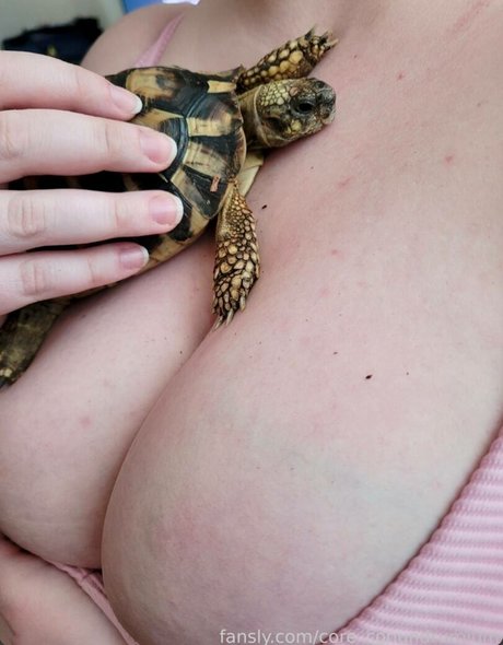 Core conundrum ポルノモデル 写真