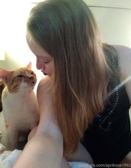 シックオンリーファン ホット 画像