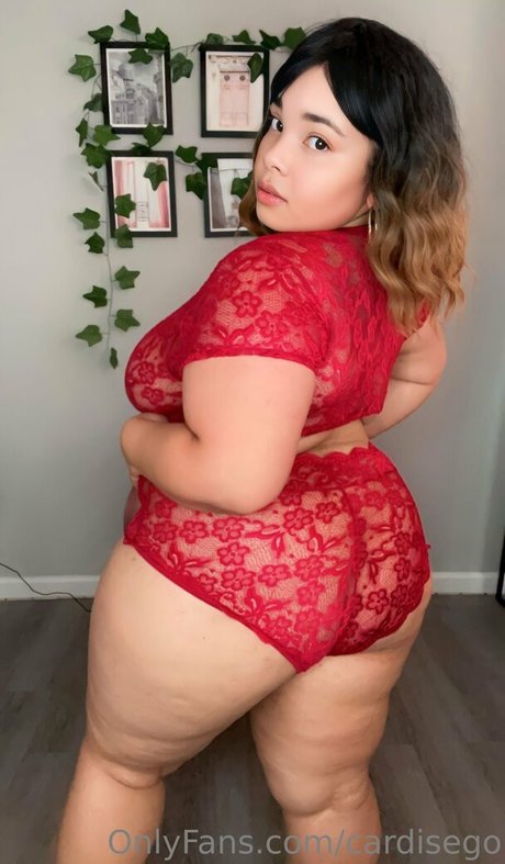 cardisego セックスモデル ギャラリー