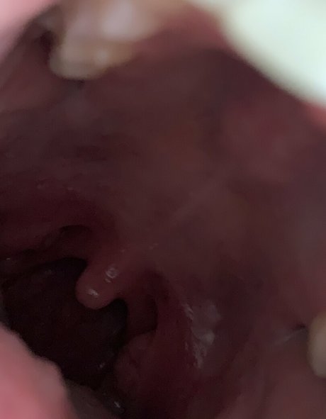 アジアンツインズOnlyFans アートxxx 画像