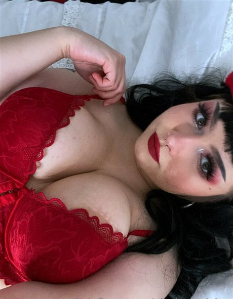 virghoe rising トップスター 画像