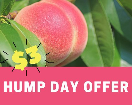 ヌード教師オンリーファンズ ホット裸 ギャラリー