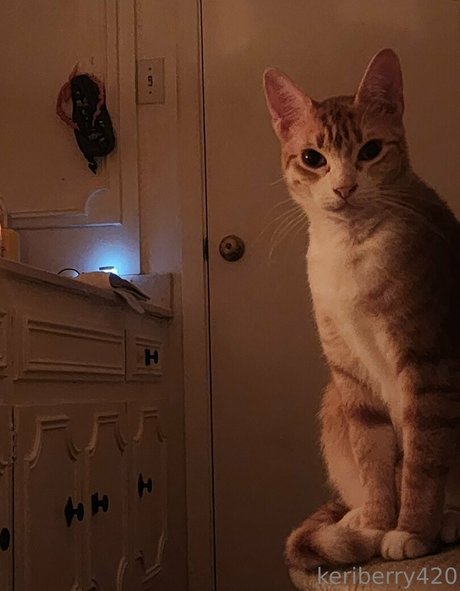 アジア人のティーンの足 オンリーファンズ 無料 写真