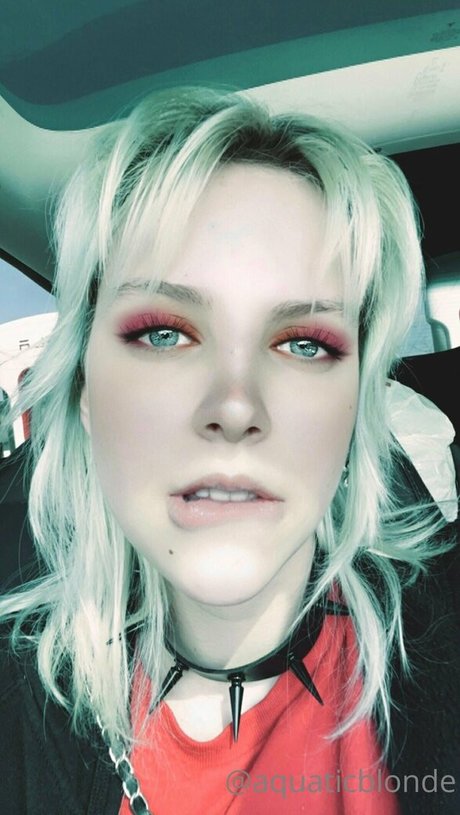 porcelainblues 最高のスター 写真