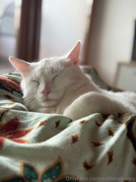 巨乳ティーンオンリーファンズ ホットポルノ 写真