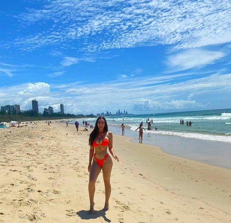 Molly Shield トップポルノスター 画像