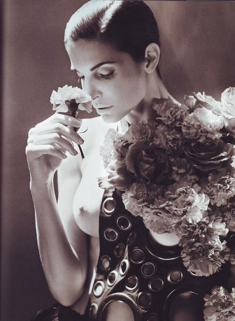 Stephanie Seymour ホットなスター 写真