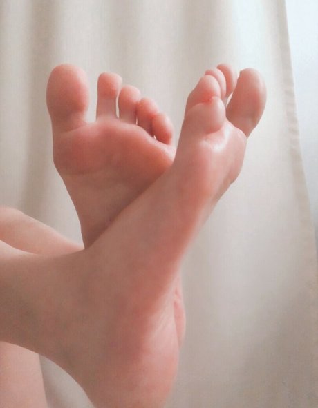 Honeyrabbiit トップスター 写真