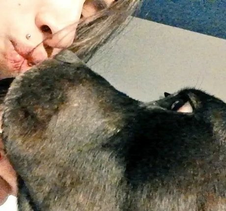 Miss Caffeine ホットなスター 写真