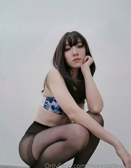 morestellewds スター アーカイブ