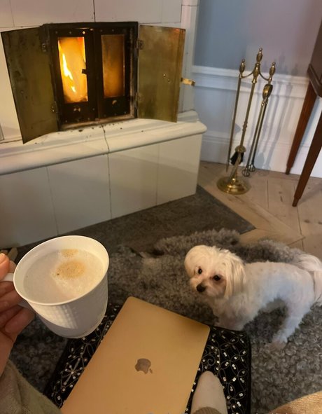 wilda se ヌード女優 ギャラリー