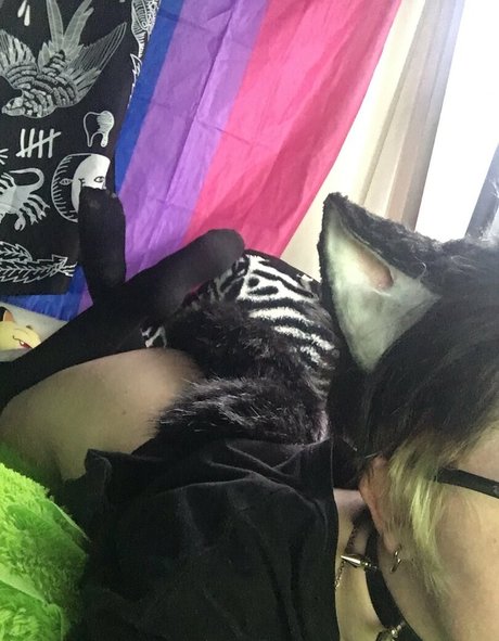 catboibloosy モデル 写真