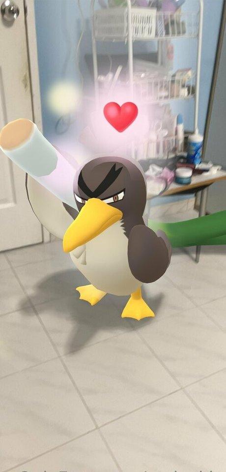 qt jackie ポルノスター ヌード 写真