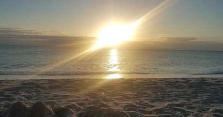 50歳以上のオンリーファンズ ポルノ 画像