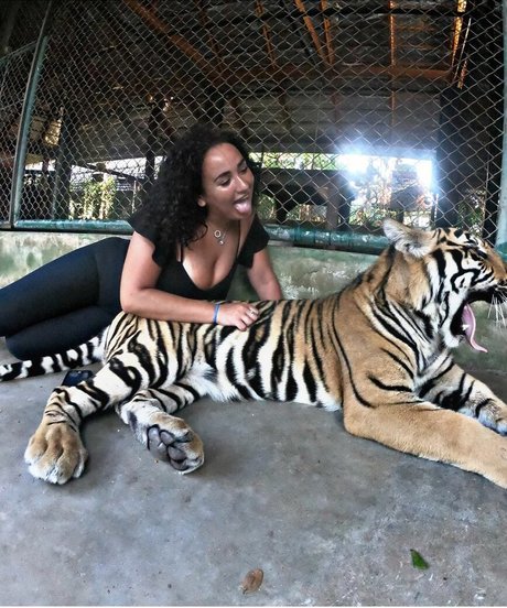 Tana Habibi 独占女優 写真