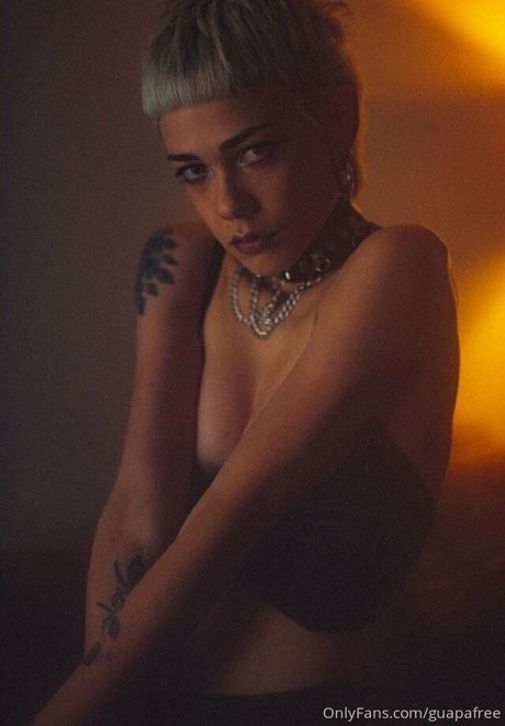 guapafree ポルノスター 写真