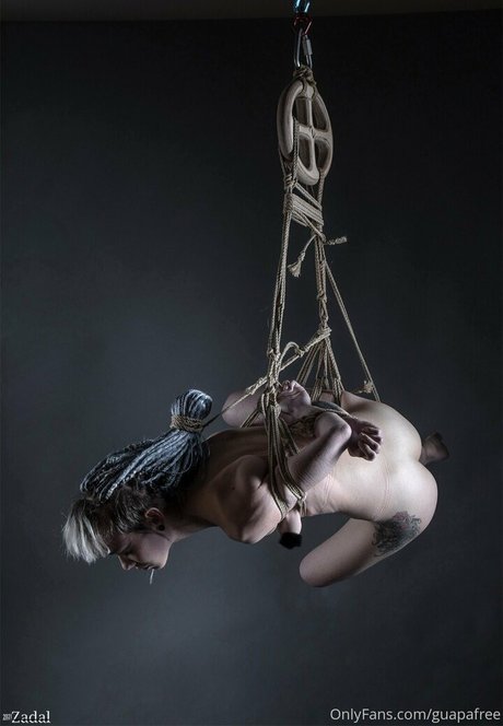 guapafree トップポルノスター 写真