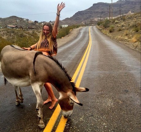 Kimi McFarland ポルノモデル 写真