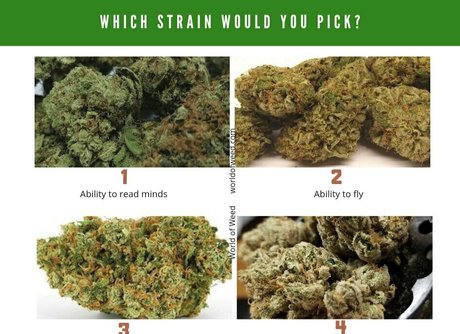 twogirlsoneblunt 素敵な女優 写真