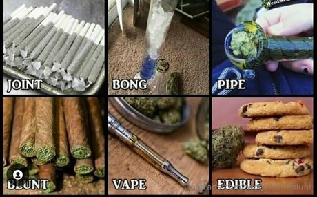 twogirlsoneblunt ポルノスター 可愛い ギャラリー