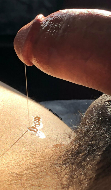 cactsdrms アートモデル 画像