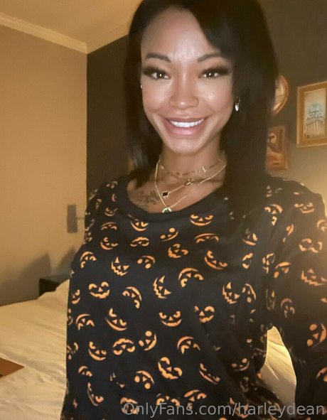 大きな黒い猫OnlyFans ホットポルノ アーカイブ