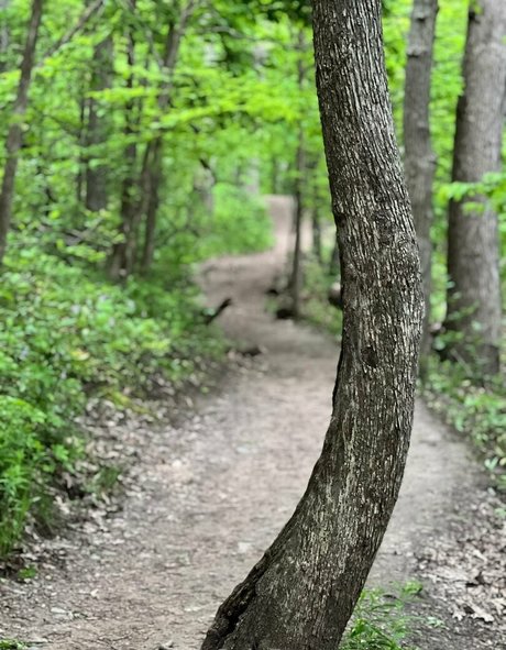 赤毛の太めOnlyFans 美しい裸 写真