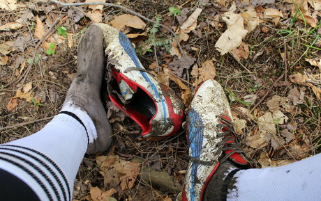 islandermud セックススター 写真