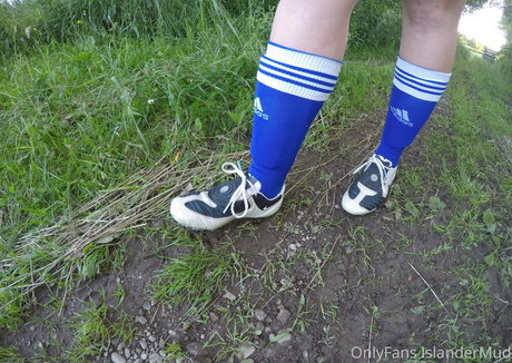 islandermud 美しいスター 写真