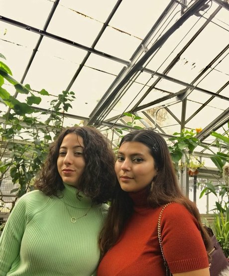 Nada C トップスター 画像