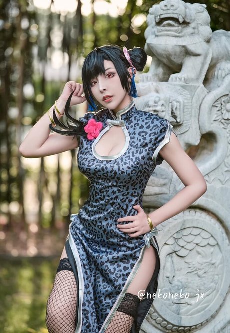 Nekoneko JX かわいいスター 写真