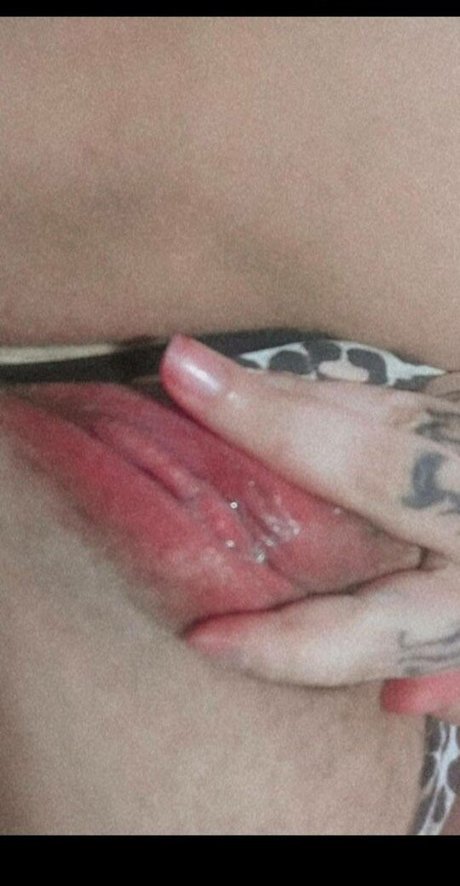 Heloisa CDNX スター 写真