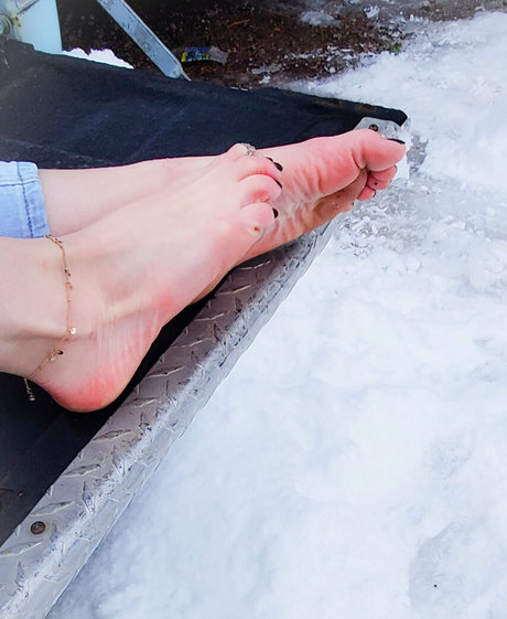 diamondsanddirt19 素敵なスター 写真