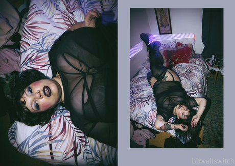 bbwaltswitch 素敵なスター 写真