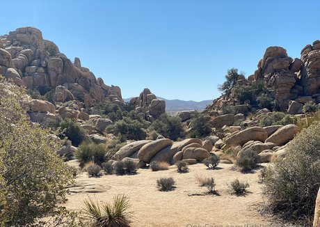 fitblondenextdoor セクシー女優 写真