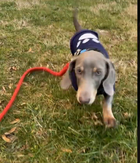 ポーグエボニーオンリーファンズ エロチック 写真