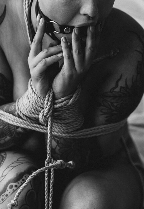 lunalynn26 素敵なスター 写真