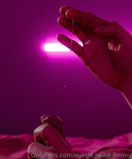 aussie twink benny ポルノスター セクシー 写真
