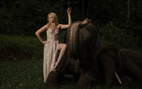 スキニーアナルOnlyFans ホットセックス 写真