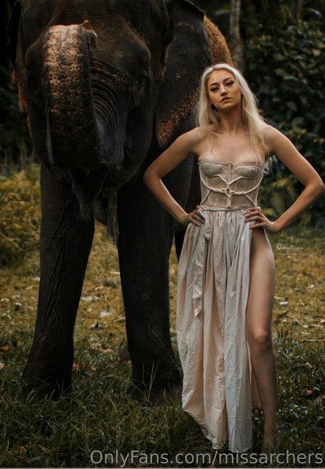 missarchers 最高のスター ギャラリー