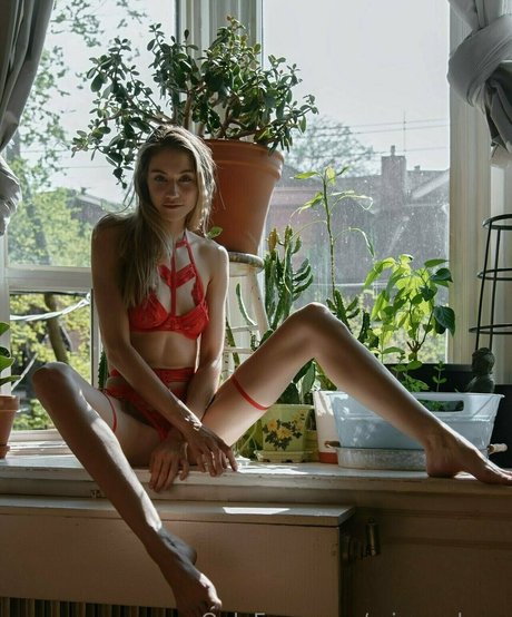 missarchers アートスター アーカイブ