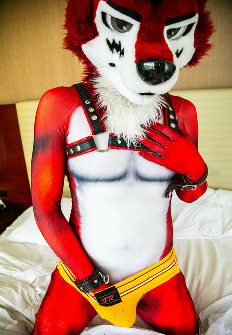 wolf ezo ポルノスター トップ 写真