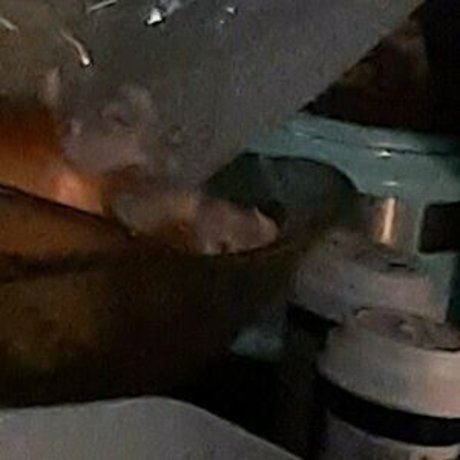 fenna ad ポルノスター 写真