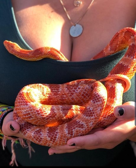 Isabellaell ポルノスター トップ ギャラリー