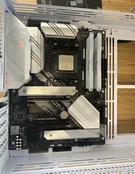 ブラジルの猫オンリーファンズ 可愛い 画像