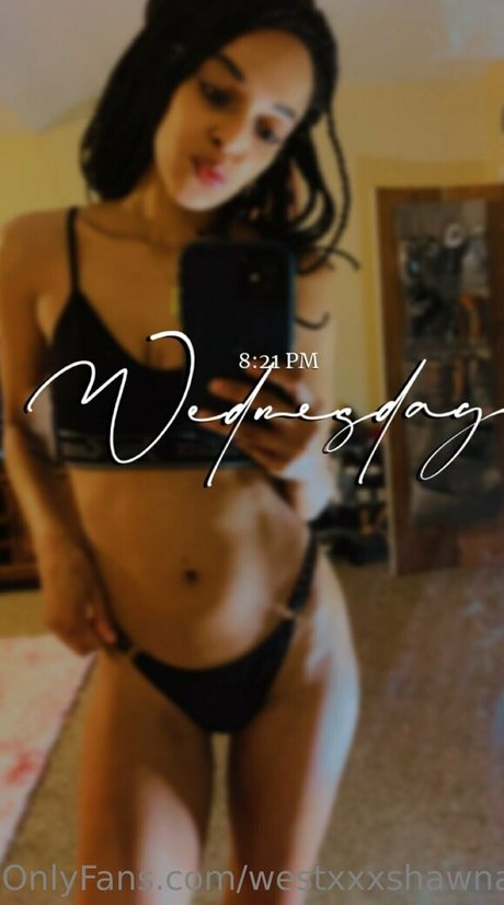 westxxxshawna 美しい女優 画像