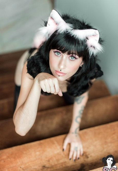 Felline SG ヌードモデル 画像