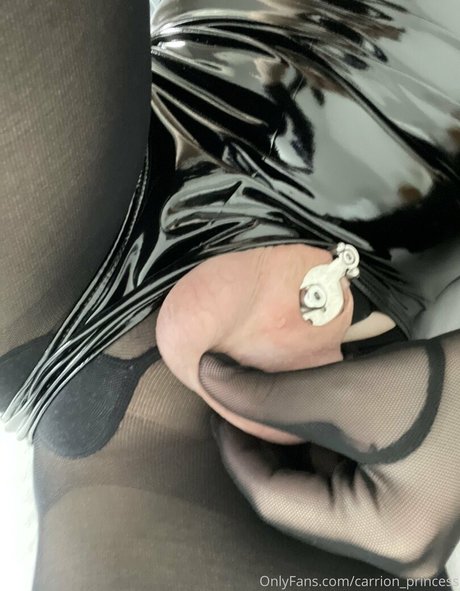 carrion princess エロティックなポルノスター 写真