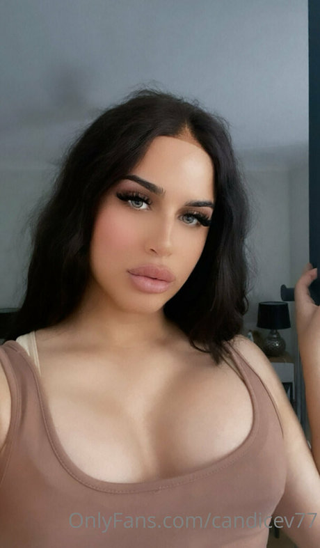 candicev77 アートスター ギャラリー